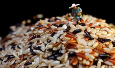 भारतीय बाजार में अधिक प्रीमियम मॉडल पर विचार कर रही टोयोटा