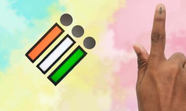 गढ़चिरौली के नक्सल इलाके में पहुंची चुनाव अफसरों की टीम, सौ साल के बुजुर्ग ने डाला वोट