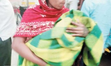 महुआ बीनने तिरपाल लगाकर सो रहे परिवार पर हाथी का हमला, आठ माह की बच्ची सहित तीन घायल