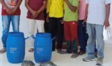 3 कछुआ तस्कर गिरफ्तार