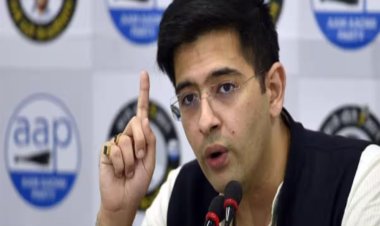 राघव चड्ढा की भगोड़े कारोबारी विजय माल्या से कथित तौर पर तुलना करने वाले एक यूट्यूब चैनल के खिलाफ FIR