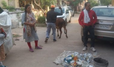 मिक्स कचरा देख आयुक्त ने दिखाए तेवर, कहा गीला सूखा अलग अलग होने पर ही कलेक्शन