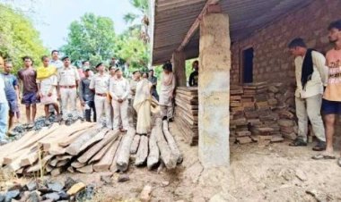 2 लाख की सागौन चिरान जब्त जमीन में गाड़ कर रखी गई थी