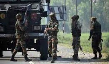 हम पूरे सीजन 'अजेय टीम' की तरह खेले : श्रेयस अय्यर