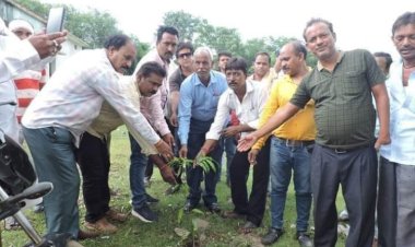 छत्तीसगढ़ मूर्तिकार चित्रकार संघ ने वृक्षारोपण कर पर्यावरण बचाने दिया संदेश..