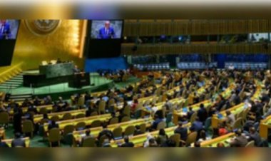 संयुक्त राष्ट्र महासभा ने सुरक्षा परिषद के पांच नये सदस्य चुने