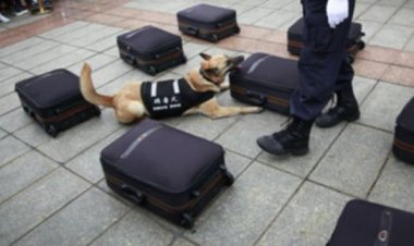 चीनी राष्ट्रीय आव्रजन प्राधिकरण ने 6 महीनों में 4.5 टन ड्रग्स जब्त की