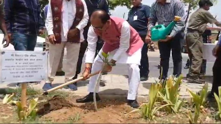 शिवराज और सिंधिया ने संभाला मंत्रालय में कार्यभार, केंद्रीय मंत्री चौहान बोले- किसानों के सपने पूरे करूंगा