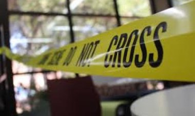 पाक में अज्ञात बंदूकधारियों के हमले में एक पुलिस अधिकारी और दो बच्चों की मौत