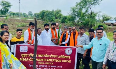 विधायक ईश्वर साहू की मौजूदगी में किया गया ऑयल पॉम पौधरोपण