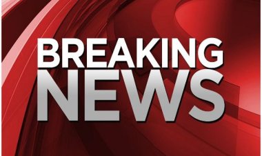 मुख्यमंत्री डॉ. यादव ने ग्वालियर चिड़ियाघर में तीन शावकों के जन्म लेने पर बधाई दी