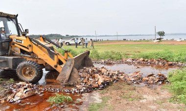 Durg: तीन जिलों से जब्त मादक पदार्थों को किया गया नष्ट, करोड़ों रुपये का गांजा, शराब और नशीली दवाई नष्ट