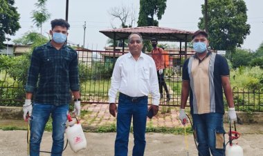 दुनिया भर में मच्छर फैलाते हैं 17 फीसदी अधिक संक्रामक रोग..