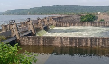 मुरैना के पगारा डैम के पांच गेट खुले:654 फीट गहरे पगारा डैम फुल होने पर ऑटोमेटिक पांचो गेट खुल गए