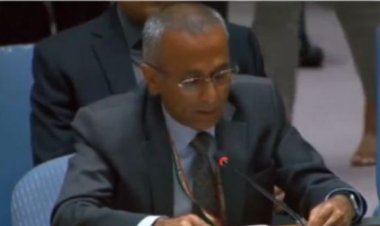 सुरक्षा परिषद की बैठक में भारत ने सतत और समावेशी विकास पर दिया जोर