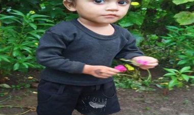 ढाई साल की बच्ची दूसरी मंजिल से गिरी:रैलिंग के अदंर से झांकने में नीचे आ गई,5 घंटे बाद हो गई मौत