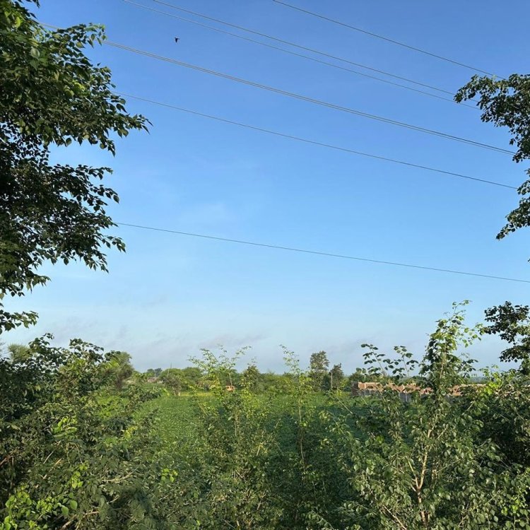 गांधी सागर बांध का जलस्तर 1304.55 फीट पहुंचा:बारिश के स्ट्रांग सिस्टम से कल जिले में तेज बारिश का अलर्ट