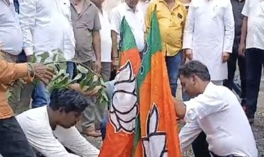 कांग्रेसियों ने सड़क के गड्ढों में लगाए भाजपा के झंडे:बोले- भाजपा का विकास हर बारिश में बह जाता है