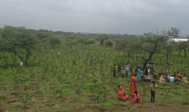 इंदौर में दिन में कभी तेज धूप तो कभी रिमझिम:दिन के तापमान में 1 डिग्री की गिरावट, आज दोपहर बाद बारिश के आसार