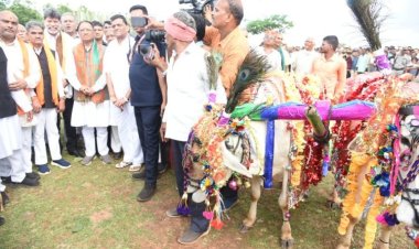 मड़ियापार पोला महोत्सव में शामिल हुए मुख्यमंत्री श्री साय