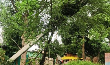 सड़क के बीच बिजली पोल से टकराया मिनी ट्रक:वायर के खिचाव से एक पोल तिरछा हुआ, 2 पोल गिरे, बाल-बाल बचे लोग