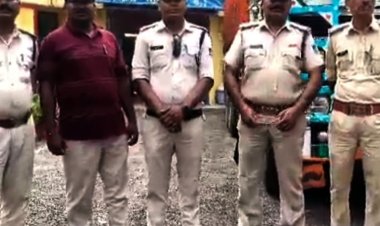 ट्रक में हो रही थी मवेशियों की तस्करी:बंडोल पुलिस ने दी दबिश, 47 मवेशी सहित ट्रक जब्त, आरोपी फरार, केस दर्ज