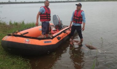 डैम में डूबे युवक का शव मिला:एसडीईआरएफ के दल ने दो घंटे के अभियान में खोजा, एक दिन पहले नहाते समय डूबा था