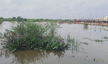 Durg: शिवनाथ नदी का बढ़ा जलस्तर, दर्जनों गांवों में घुसा बाढ़ का पानी, जनजीवन प्रभावित