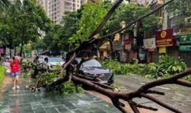 वियतनाम में चक्रवात ‘यागी’ से जुड़ी घटनाओं में मरने वालों की संख्या बढ़कर 233 हुई