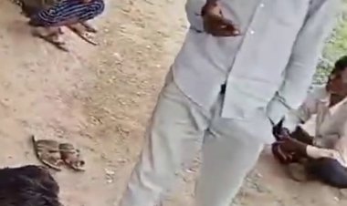 खेत में खुलेआम सट्टा का अवैध कारोबार, वीडियो वायरल:पर्ची बनाते सट्टा लिखते दिखे लोग