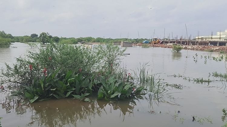 Durg: शिवनाथ नदी का बढ़ा जलस्तर, दर्जनों गांवों में घुसा बाढ़ का पानी, जनजीवन प्रभावित