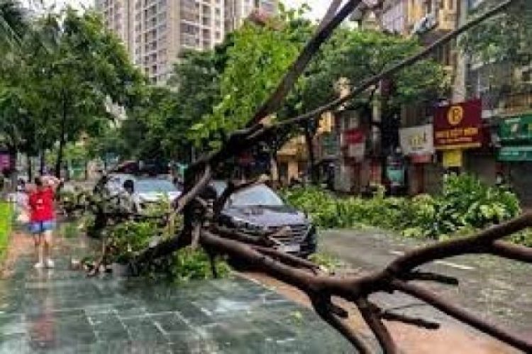 वियतनाम में चक्रवात ‘यागी’ से जुड़ी घटनाओं में मरने वालों की संख्या बढ़कर 233 हुई