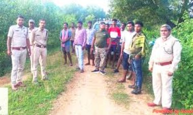 हाथी प्रभावित तीन जिलों के सरहदी ग्रामों से घिरा कापू