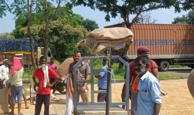 सीहोर में 14400 किसानों ने कराया पंजीयन:जिले में 3 लाख 20 हजार हेक्टेयर में सोयाबीन की बोवनी, रकबा 16000 हेक्टेयर घटा