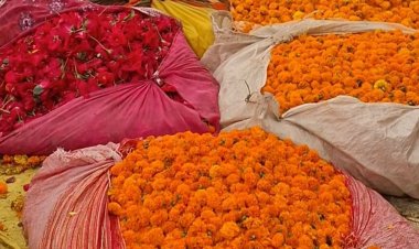 धनतेरस पर फूल मंडी में फूलों के दाम गिरे:गेंदा 20 से 60 रूपए, सेवंती 100 रूपए तो गुलाब 200 रूपए किलो बिका
