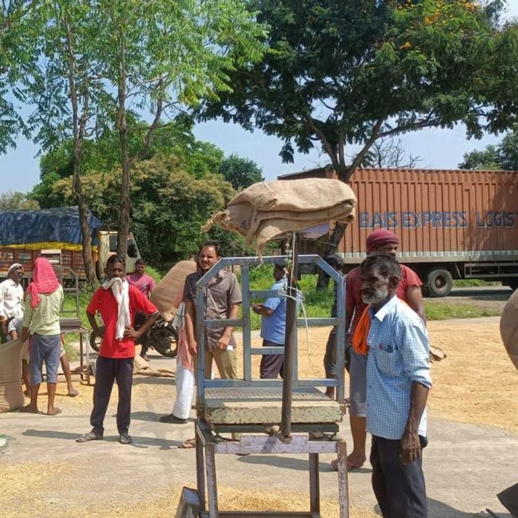 सीहोर में 14400 किसानों ने कराया पंजीयन:जिले में 3 लाख 20 हजार हेक्टेयर में सोयाबीन की बोवनी, रकबा 16000 हेक्टेयर घटा