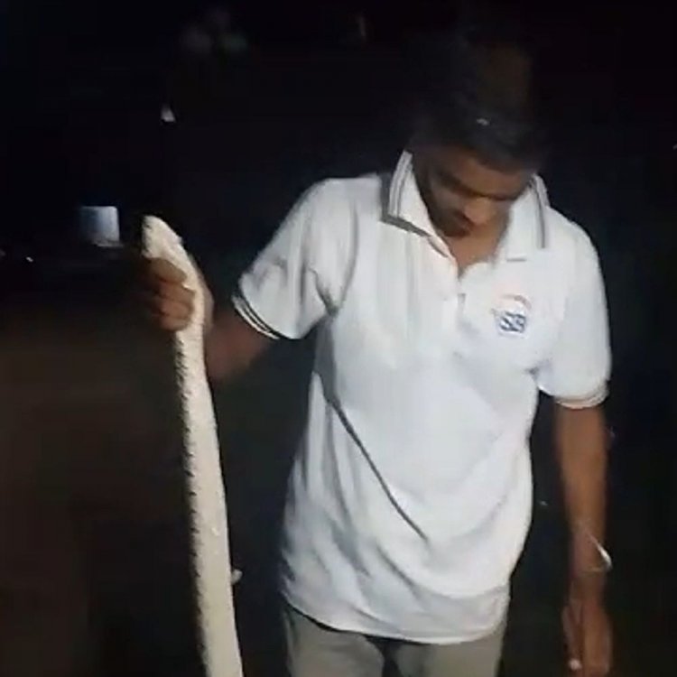 शिवपुरी में 4 फीट लंबे रसेल वाइपर सांप का रेस्क्यू:4 दिनों से लगातार कॉलोनी में दिखाई दे रहा था, सर्प मित्रों ने देर रात पकड़ा