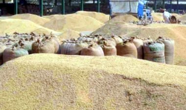 जिले में 14 नवम्बर 2024 से 31 जनवरी 2025 तक होगी धान खरीदी
