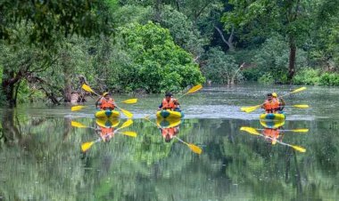 विश्व पर्यटन मानचित्र में बस्तर के धुड़मारास गांव ने बनाई अपनी जगह
