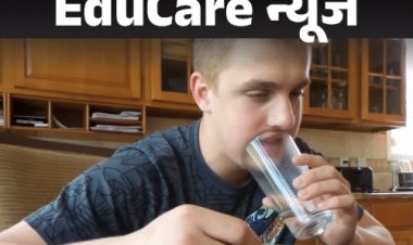 यूट्यूबर से बॉक्‍सर बने थे पॉल:डिज्‍नी की सीरीज से निकाले गए; 4 साल में 10 दिग्गज बॉक्सर्स को हराया