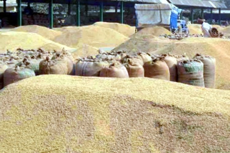 जिले में 14 नवम्बर 2024 से 31 जनवरी 2025 तक होगी धान खरीदी