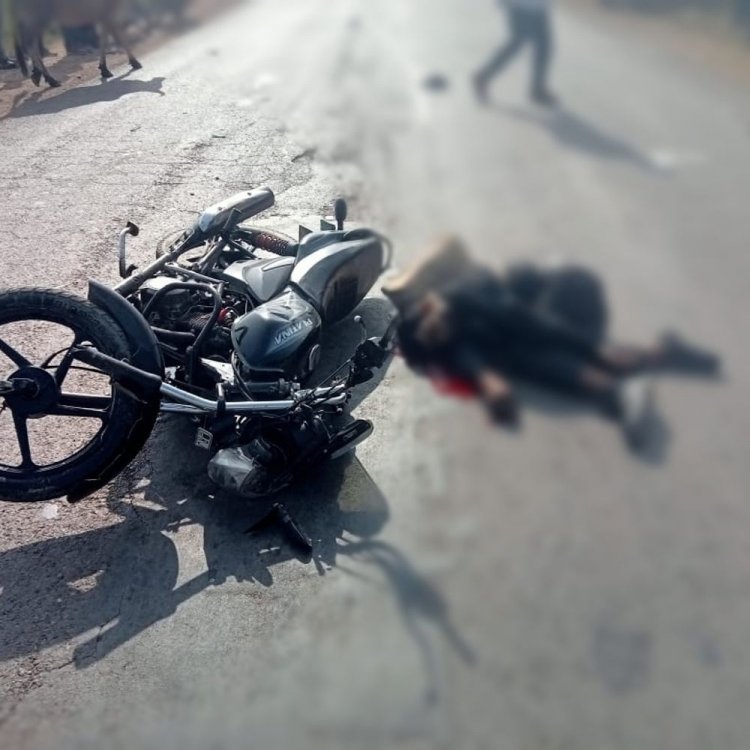 सतना-चित्रकूट हाईवे पर हिट एंड रन केस:अज्ञात वाहन ने मारी टक्कर, युवक की मौत; पॉकेट में मिले एडमिट-कार्ड से हुई शिनाख्त