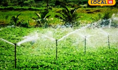 गेंहू की खेती के लिए अपनाएं ये स्मार्ट तरीका, पानी की होगी बचत