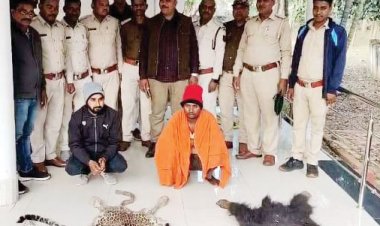 तेंदुआ-भालू की खाल संग दो आरोपी गिरफ्तार