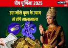 पौष पूर्णिमा: करें इस नीले फूल के उपाय, मिटेगी आर्थिक तंगी, धन से भरेगा घर!