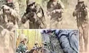 छत्तीसगढ़-गरियाबंद में नक्सल एनकाउंटर में 3 नक्सली ढेर, जंगल में 300 जवानों ने चक्रव्यूह बनाकर घेरा