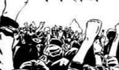 वन विभाग में फारेस्ट गार्ड्स की वेतन विसंगति का मामला:2006-14 के बीच नियुक्त फॉरेस्ट गार्ड्स को अलग-अलग वेतनमान, सीनियर को जूनियर से कम सैलरी