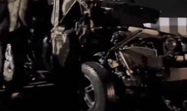 तेज रफ्तार थार की टक्कर से लोडिंग ट्रक पलटा:भोपाल के एयरपोर्ट रोड की घटना, 5 घायल; पुलिस जांच में जुटी