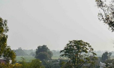 24 घंटे में 1 डिग्री गिरा मंदसौर का पारा:25 जनवरी से बदलेगा हवा का रुख, तापमान में आएगी 3 डिग्री तक गिरावट