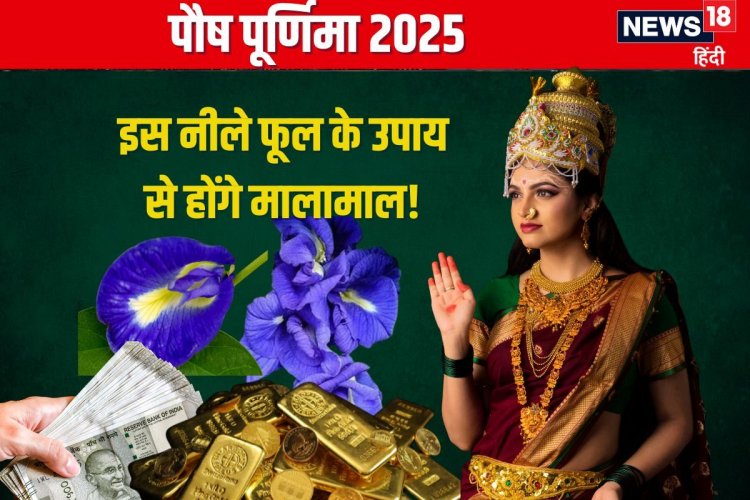 पौष पूर्णिमा: करें इस नीले फूल के उपाय, मिटेगी आर्थिक तंगी, धन से भरेगा घर!